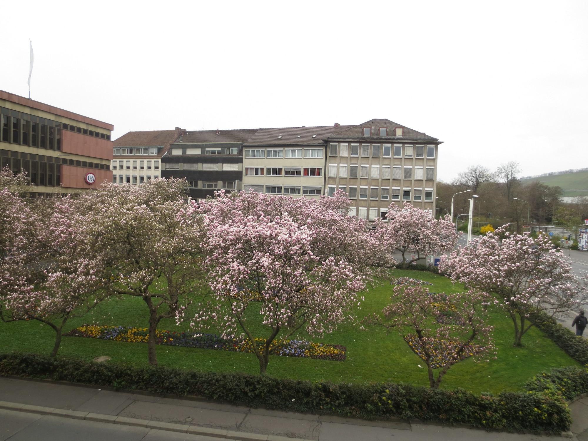Regina Würzburg